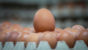 Ungestempelte braune Eier liegen in einer Verpackungshalle. Verbraucher werden in einigen Jahren in Supermärkten voraussichtlich nicht mehr zwischen braunen und weißen Eiern wählen können. Foto: dpa/Soeren Stache