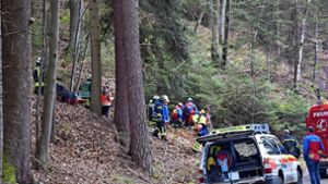 Feuerwehr muss gleich doppelt ran – Bergwacht rettet Waldarbeiter