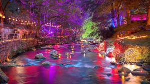 Atemberaubende Lichterwelt im Bad Wildbader Kurpark