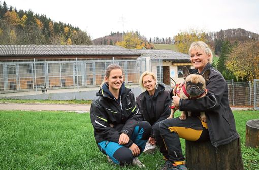 Die französische Bulldogge Aiden wartet im Tierheim auf ein neues Zuhause. Um rund 60 Tiere kümmern sich (von links): Lena Wissmann, Jennifer Kästle und Nadine Weissmann. Foto: Marschal