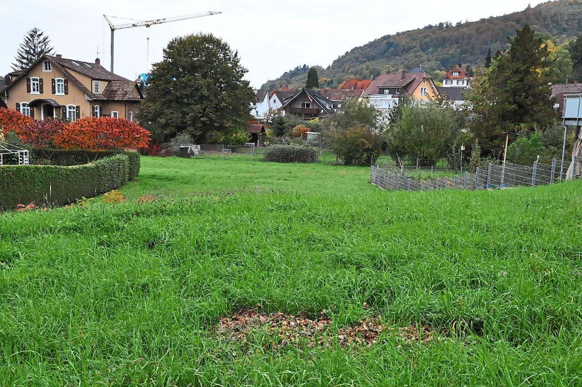 Experten haben in einer Modellrechnung analysiert, dass Flächen wie diese in der Ortsmitte Kuhbach bei einem Jahrhunderthochwasser überflutet werden. Daher dürfen hier derzeit keine Baugenehmigungen erteilt werden.