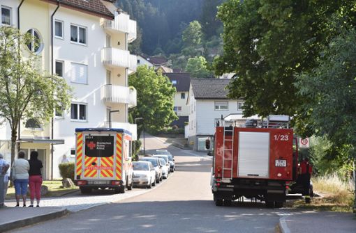 Feuerwehr, Polizei und Rettungsdienst waren am Schramberger Herzogshöfle im Einsatz. Foto: Wegner