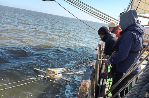 Der Manta Trawl wird zur Probennahme durch das Wasser gezogen. Foto: Marinekameradschaft Rottenburg