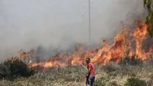 Großer Waldbrand am Rand von Athen