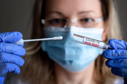 Ein Corona-PCR-Test wird ausgewertet. Foto: scaliger – stock.adobe.com