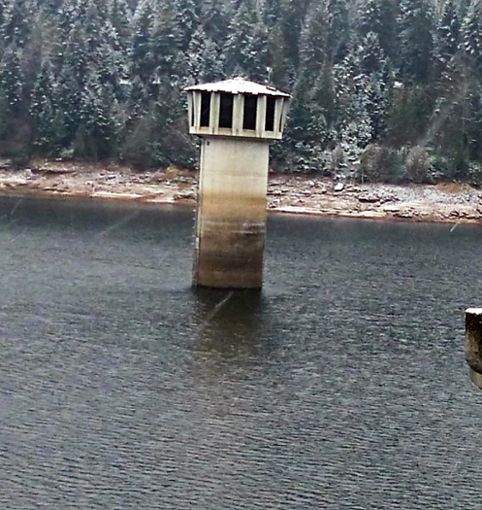 In diesem Wasserturm sollen zukünftig Trauungen stattfinden Foto: Hering Foto: Schwarzwälder Bote