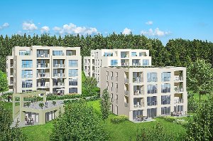 So soll der erste Schönblick-Bauabschnitt mit 36 Wohnungen und Gemeinschafts-Pavillon aussehen. Foto: Fellmeth