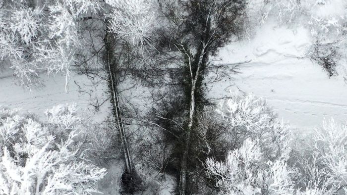 Forstamt warnt vor Schneebruch im Kreis Rottweil
