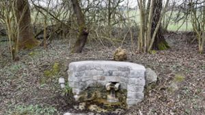 Ein Brunnen wurde in den Riedwiesen freigelegt und gesäubert. Vielleicht kommt noch eine Bank hinzu. Foto: Wagner