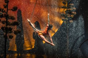 Akrobatik zu Lande, zu Wasser und in der Luft: Szene aus der Cirque-du-Soleil-Show „Luzia“ Foto: Cirque du Soleil/Matt Beard Photography