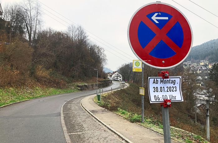 Bauen in Schramberg: Rodung an der Rochus-Merz-Straße beginnt am Montag