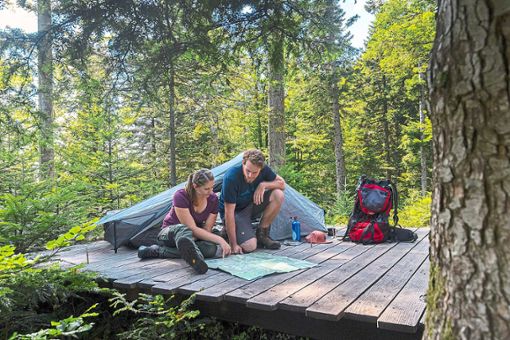 Beim Trekking im Schwarzwald dürfen naturverbundene Wandernde ganz legal mitten im Wald ihr Zelt aufschlagen. Foto: Schröder-Esch