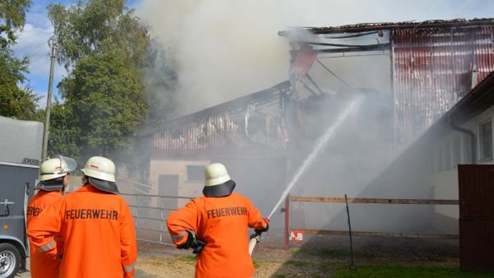 Brand in Stall: Feuerwehr kann Pferde aus Flammen retten