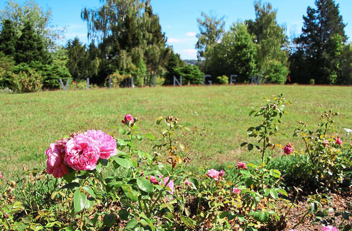 Idyllisch zwischen Rosen picknicken lässt es sich auf dem Hubenloch. Foto: Neß