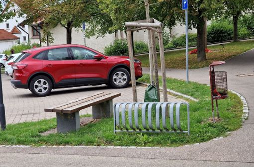 Wo sollen die Ladesäulen für E-Autos installiert werden? Eine Möglichkeit wäre, zwei Parkplätze vor dem Rathaus dafür wegzunehmen. Der Gemeinderat zeigte sich davon indes wenig begeistert. Foto: Hella Schimkat
