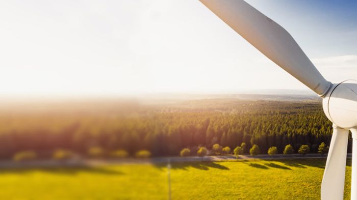Grünes Licht für Windkraftstandort