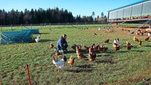 Mobiler Hühnerstall bringt Wirtschaftlichkeit und Tierschutz zusammen