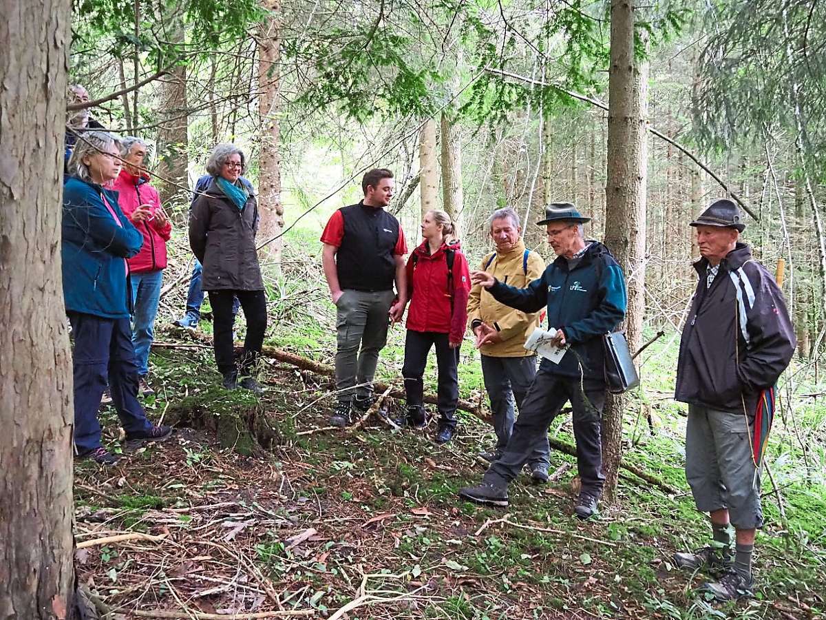 Unter einer mächtigen Eibe im Wald über Weilstetten erklärt Revierförster Siegfried Geiger den Teilnehmern der Nabu-Exkursion die Besonderheiten dieser Baumart. Foto: Faber