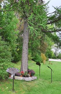 Allmählich erschöpft ist die bisherige Bestattungsfläche für Baumbestattungen auf dem Brigachtaler Friedhof, weshalb zwei neue hinzukommen sollen.  Foto: Kaletta Foto: Schwarzwälder-Bote
