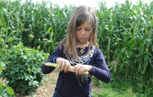 Können sich Kinder in diesem Jahr wieder über ein Besuch im Maislabyrinth  wie hier in Rexingen –  freuen? Foto: Hopp