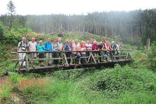 Der Rundweg um den Huzenbacher See führte die Oberndorfer Wanderer über eine Holzbrücke. Foto: Walter Foto: Schwarzwälder-Bote