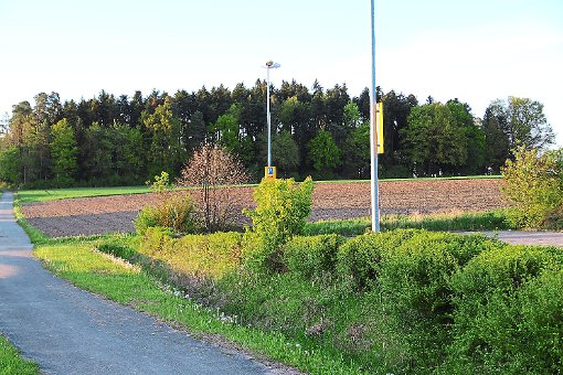 Das Landwirtschaftsamt will die landwirtschaftliche Fläche vor dem Stephanswäldle erhalten. Foto: Schmidt Foto: Schwarzwälder-Bote