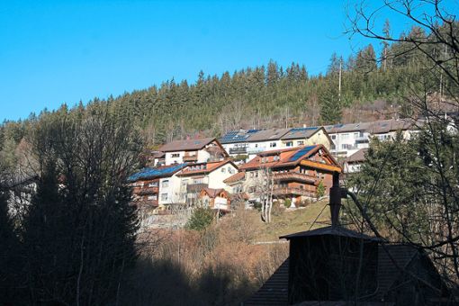 Am Vöhrenbacher Ochsenberg wollen die Gemeinderäte einen Wildwuchs verhindern.  Foto: Liebau Foto: Schwarzwälder Bote