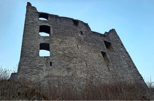 Die Südseite der Burgruine, die dringend auf eine Sanierung wartet. Foto: Pfannes
