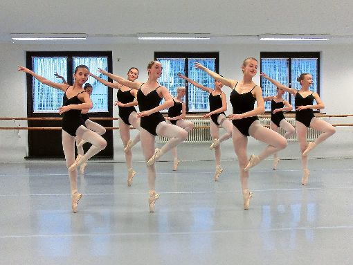 Ihre Prüfungen haben alle Ballett-Schülerinnen bestanden. Foto: Ballett-Institut Foto: Schwarzwälder-Bote