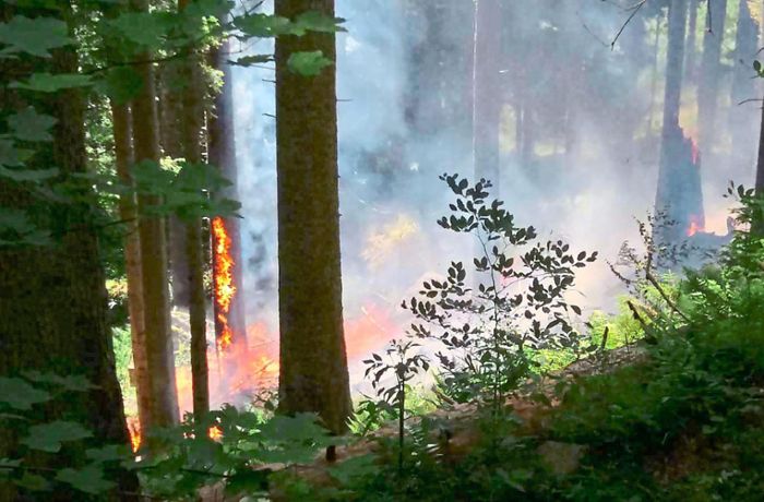 Mehr Wald- und Wiesenbrände: So oft rückt Feuerwehr von Schwarzwald bis Zollernalb aus