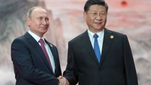 Putin und Xi nehmen nicht an G20-Sondergipfel  teil