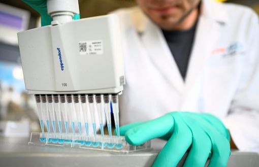 Ein Mann pipettiert in einem Labor des Tübinger biopharmazeutischen Unternehmens CureVac eine blaue Flüssigkeit. In dem Unternehmen wird nach einem Impfstoff gegen das Coronavirus geforscht. Foto: Gollnow