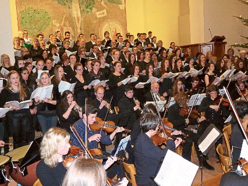 Orchester, Chöre und Solisten überzeugten beim festlichen Konzert in der Zwerenberger Kirche. Foto: Selter-Gehring