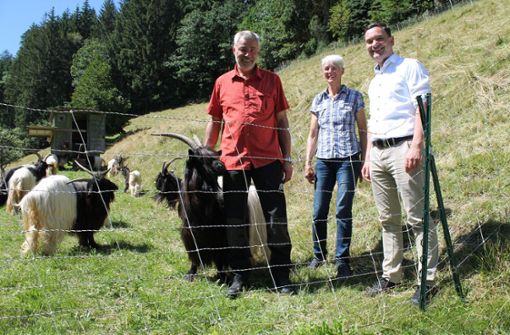 Über den Wolfsriss in der Ziegenzucht spricht Klaus Mack (rechts) mit  Meinrad  und Melanie Schweikart. Foto: Büro Mack