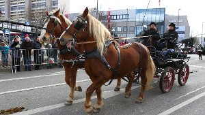 12. Februar: Ärger nach Pferdemarkt-Besuch