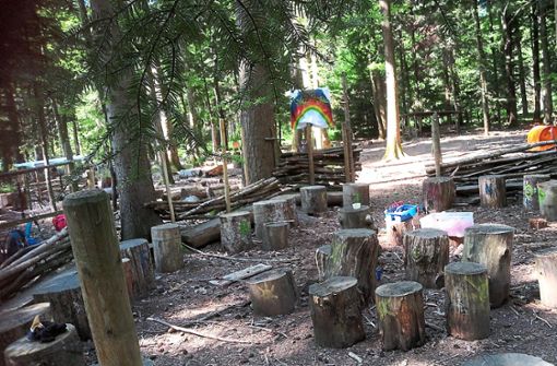 Blick auf einen Teil des Geländes des Balinger Waldkindergartens: Aus Baumstümpfen sind Sitzgelegenheiten entstanden. Foto: Beck