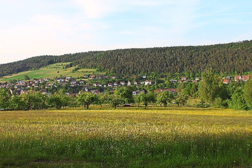 Rohrdorf liegt reizvoll in der Landschaft des Nagoldtals. Foto: Geisel