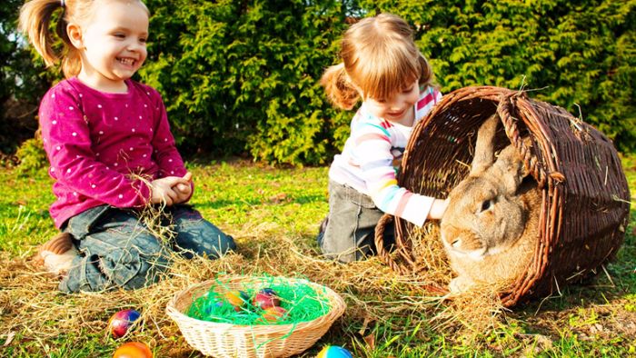 Mit diesen Tipps können Sie Ostern nachhaltig feiern