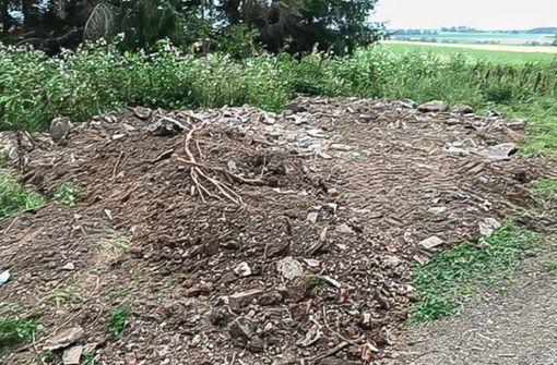 Unbekannte haben in einem Waldstück in Neuhausen illegalerweise Erdaushub und Bauschutt entsorgt. Foto: Amt für Abfallwirtschaft