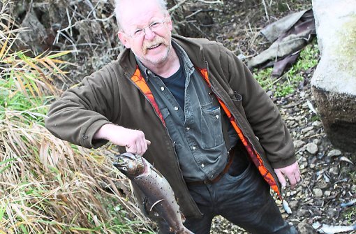 Gut 300 tote Fische hat Gerhard Kanz in der Fehla entdeckt. Der Fluss ist aus mysteriösen Gründen trocken.  Foto: Pfister