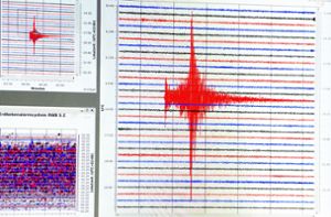 Ein Seismograph schlägt aus. Foto: Federico Gambarini/dpa