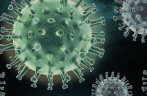 Das Coronavirus ist im Kreis Rottweil wieder einmal auf dem Rückzug. (Symbolfoto) Foto: pixabay