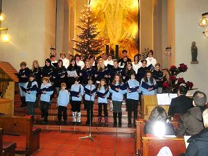 Die Taborspatzen, der Akzente-Chor und einige Solisten stimmten musikalisch auf das Weihnachtsfest ein. Foto: Haubold Foto: Schwarzwälder-Bote