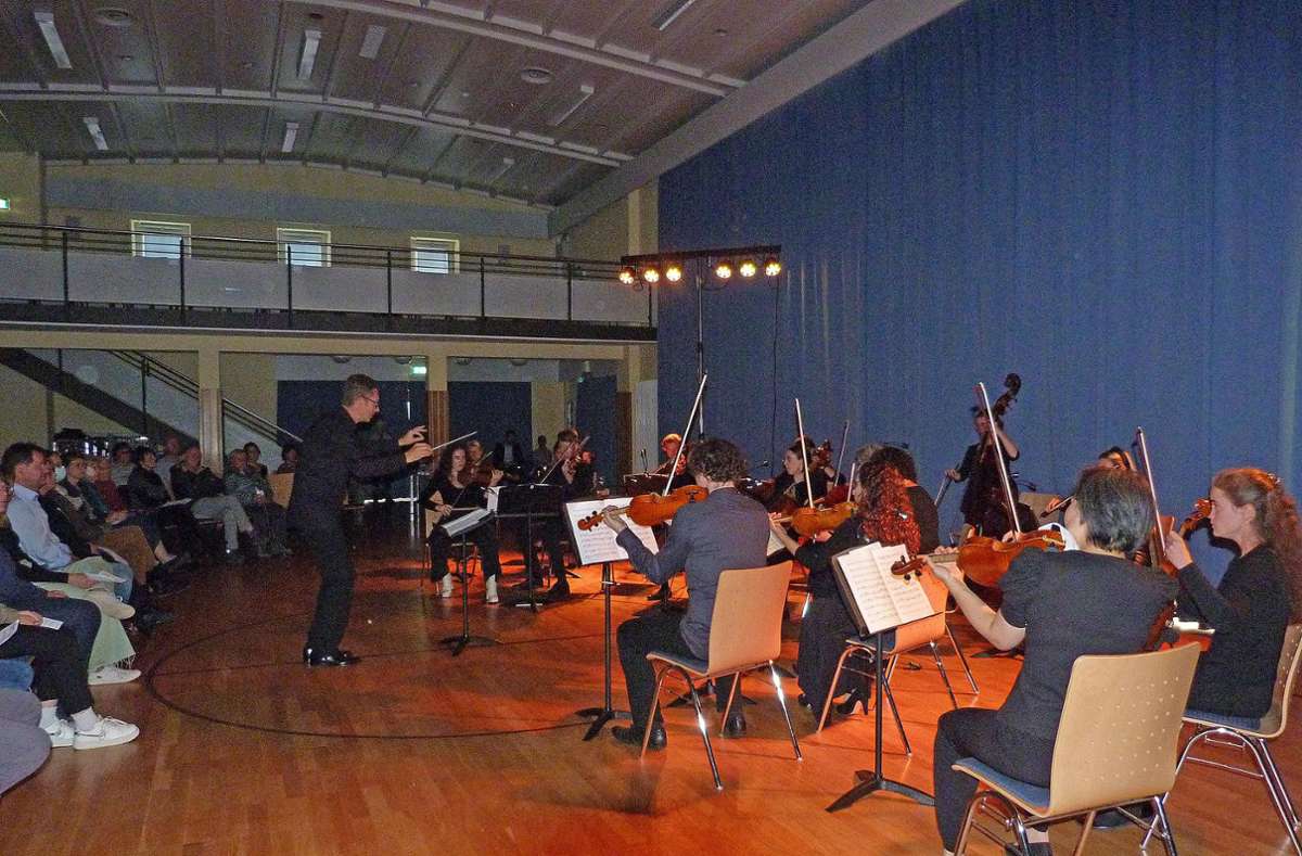 Musikschule Wildberg: Neues Streichorchester gibt bravouröses Debüt