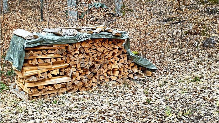 Holz-Diebe schlagen in Bisinger Wald zu