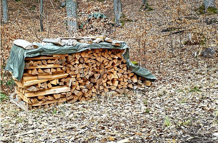 Besitzer ist wütend: Holz-Diebe schlagen in Bisinger Wald zu