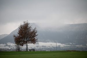 In Oberschwaben und entlang der Ostalb ist örtlich mit gefrierendem Regen zu rechnen. Im höchsten Bergland erwarten die Meteorologen Schnee. (Symbolbild) Foto: dpa