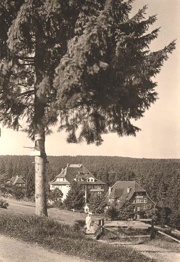 Historische Ansicht des Hotels Teuchelwald (Mitte) und der Villa Hauser (rechts).  Quelle: Denkmalverein