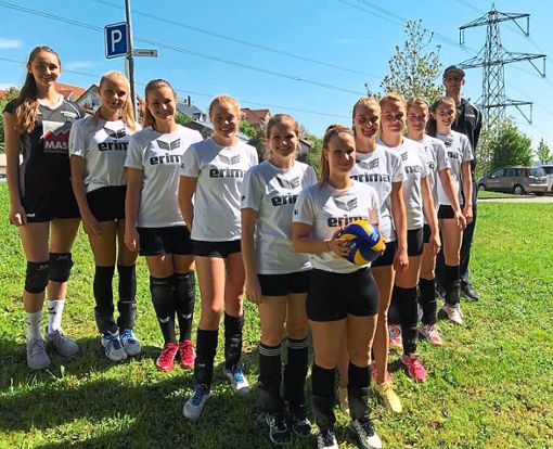Eine gute Pokalrunde 2017/18 spielte das Volleyball-Damenteam des TSV Freudenstadt.  Foto: kf Foto: Schwarzwälder Bote