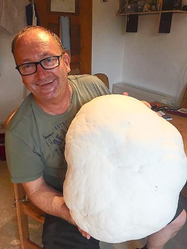 154 Zentimeter und fünf Kilo – der Pilz gehört wohl zu den Größten seiner Art.  Foto: Botzenhart